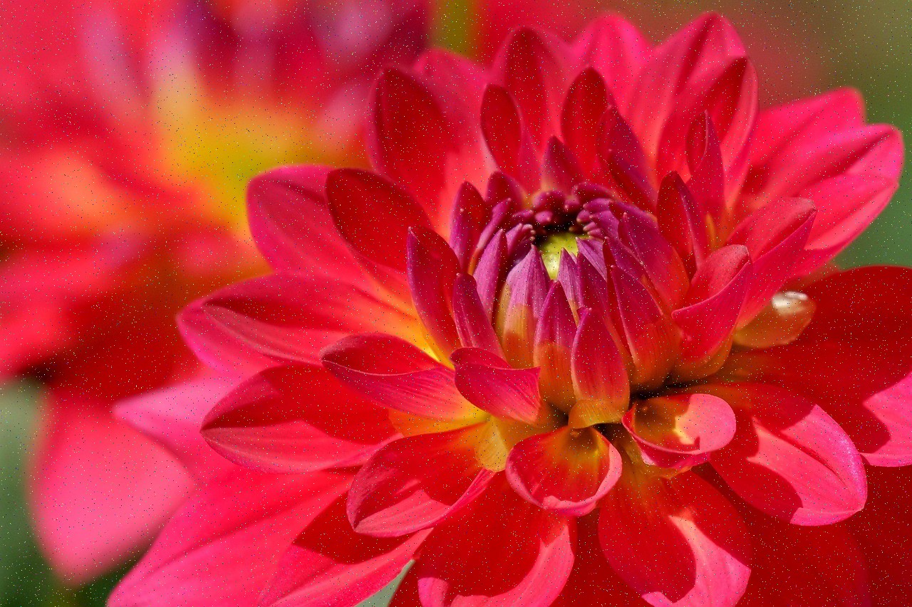 Test 5